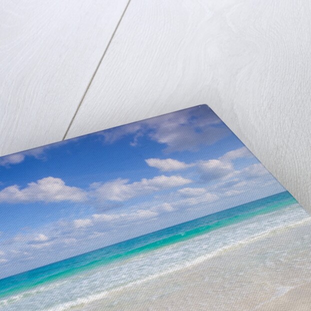 Cancun beach, Mexico by Assaf Frank